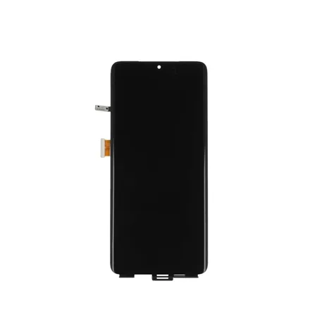 Samsung Galaxy S21 Ultra 5G (G998B) Display And Digitizer Without Frame Service Pack