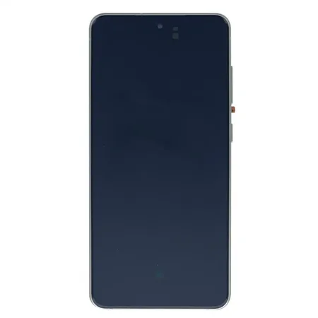 Samsung Galaxy S21 FE (G990B) Display Complete GH82-26420D – Violet