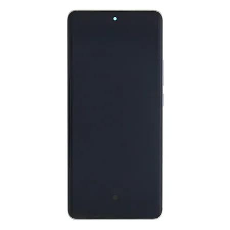 Oppo Reno 10 Pro 5G (CPH2525) Display + Digitizer + Frame