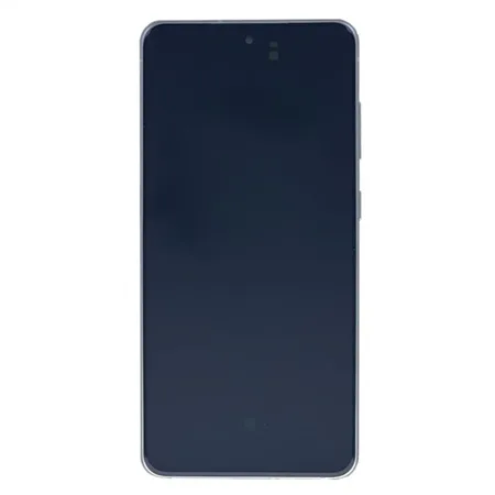 Samsung Galaxy S21 FE (G990B) Display Complete GH82-26414B – White