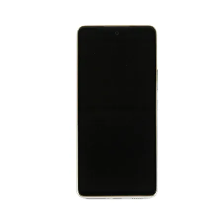 Samsung Galaxy A53 5G (A536B) Display Complete (GH82-28024B) – White