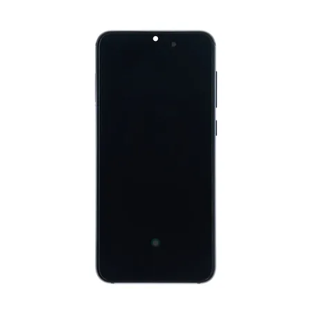 Xiaomi Mi 9 SE (M1903F2G) Display Complete + Frame (5606101010B6) - Grey