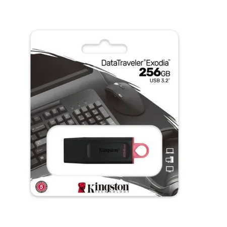 Kingston DataTraveler Exodia DTX/256GB Flash Drive USB 3.2 Gen 1